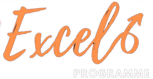 Excel8 Programme logo